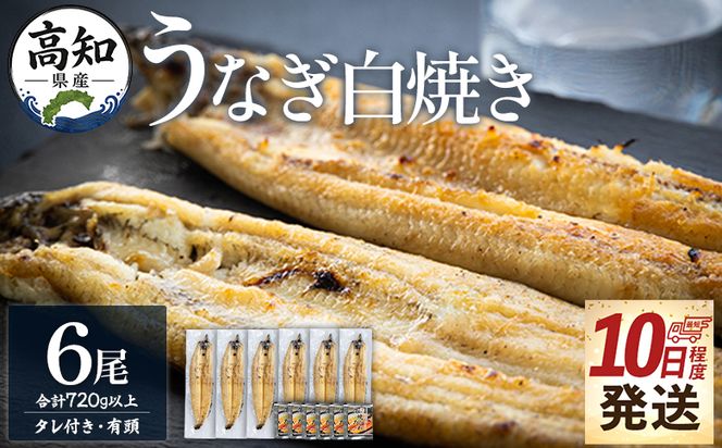 うなぎ 白焼き【10日程度で発送】高知県産鰻の白焼き120～130ｇ 6尾 蒲焼きのタレ6袋 エコ包装 yw-0129