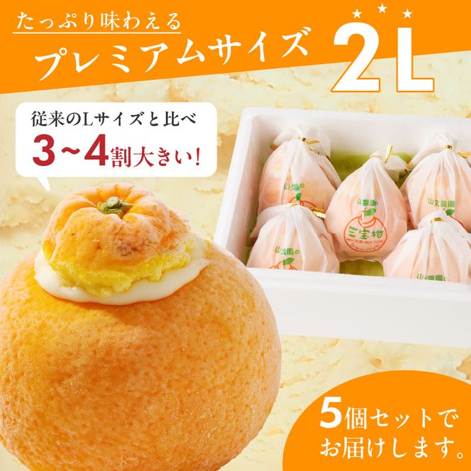 【ギフト用】まるごと 三宝柑 シャーベット 5個 セット_ZP6009_GFTn
