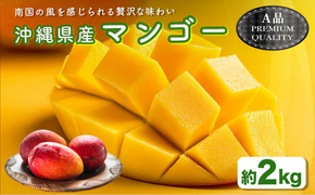 ハナトフルーツ 沖縄県産マンゴーA品 ２ｋｇ 【 先行予約 2026年発送 】