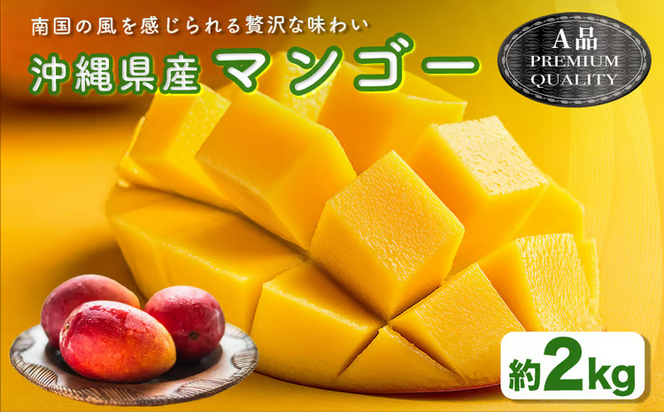 ハナトフルーツ 沖縄県産マンゴーA品 ２ｋｇ 【 先行予約 2026年発送 】