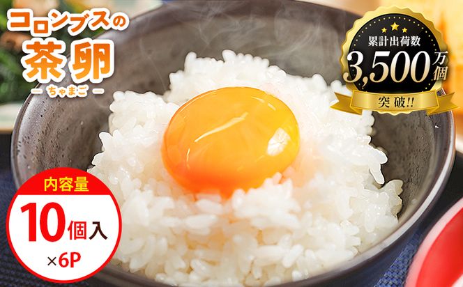 たまご コロンブスの茶卵  10個入×6P 卵 生卵 茶卵 濃厚 卵黄 卵白 生臭みなし 透明感 卵かけご飯 たまご 玉子 朝ごはん オムライス 鶏卵 国産 kl-0005