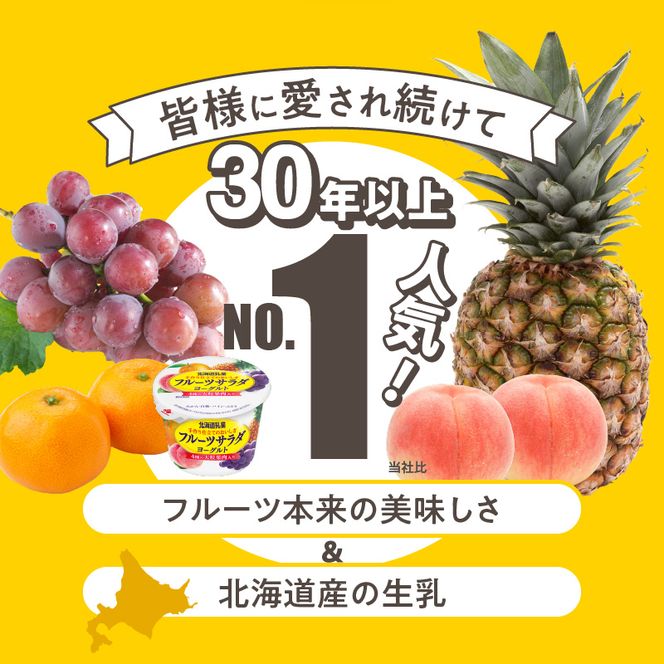 函館市 フルーツサラダヨーグルト 24個_HD135-001