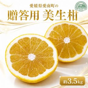 【先行予約】  贈答用 美生柑 みしょうかん 約 3.5kg 河内晩柑 贈答 ギフト プレゼント 正規品 ばんかん フルーツ 果物 果実 くだもの 夏文旦 晩生柑 厳選 愛媛 みかん 蜜柑 mikan 愛南 ご当地 ブランド 母の日 国産 産地 直送 ゼリー マーマレード デザート フルーツアイランド マルエム直販 愛媛県 愛南町