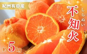 紀州有田産不知火(しらぬひ) 約5kg　※2027年2月中旬頃〜2027年3月中旬頃 発送【uot709A】