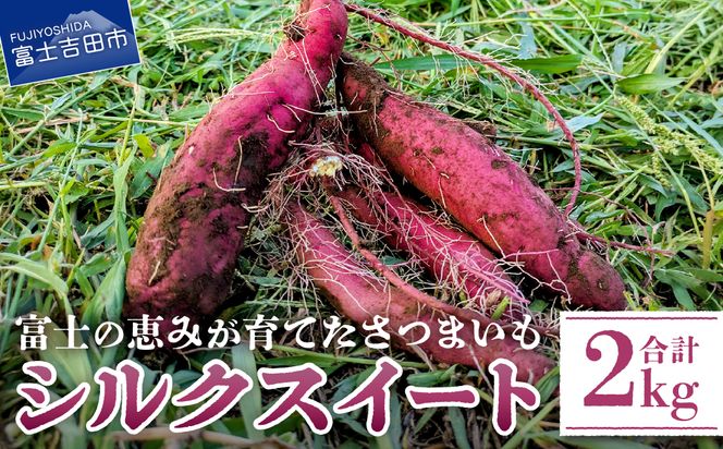 サツマイモ（シルクスイート）2kg　さつまいも 富士シルク 野菜 根菜 焼き芋 ふかし芋 国産 富士吉田市産 山梨 富士吉田
