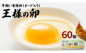 王様の卵 ヨード入 60個 (55個+割れ保障5個 ) 平飼い 地鶏 有精卵 濃厚 卵 こだわり卵 たまご [AU001us]
