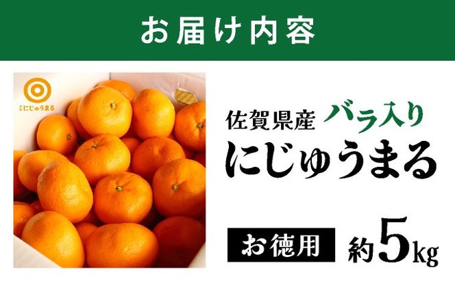 にじゅうまる 約5kg バラ入りお徳用 E-294-RN