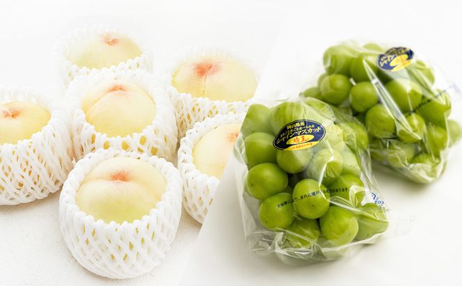 フルーツ 定期便 2026年 先行予約 フルーツ王国 岡山 ベストセレクト 2回コース 桃 もも 葡萄 ぶどう マスカット 岡山県産 国産 果物 セット ギフト 旬のフルーツ 果汁きめ細やか 岡山の白桃 晴王 