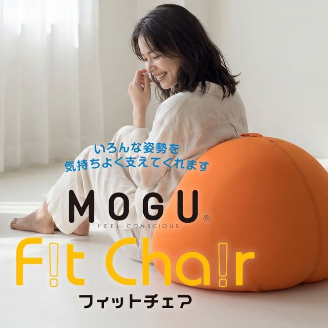 MOGU フィットチェア（本体＋カバー）