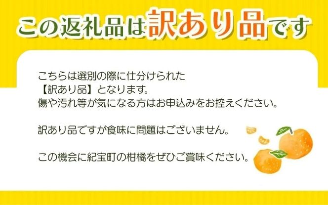【訳あり】石本果樹園の美味しい 温州みかん 約4.5kg 約35～40玉前後【2026年11月初旬から2027年1月下旬に順次発送予定】 / みかん フルーツ くだもの 果物 温州みかん【min020】