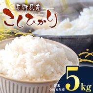 令和8年産 伊那市産 こしひかり 5kg｜ 米 コシヒカリ こしひかり 白米 ご飯 お米 伊那 伊那産 長野県 ふるさと納税【012-a9】