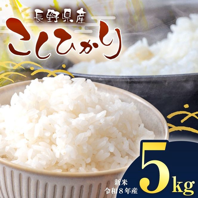 令和8年産 伊那市産 こしひかり 5kg｜ 米 コシヒカリ こしひかり 白米 ご飯 お米 伊那 伊那産 長野県 ふるさと納税【012-a9】