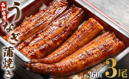 鰻 国産 うなぎ 蒲焼 120g✕3尾セット(無頭) ウナギ 鰻 夕飯 食卓のお供 うなぎ屋きた本 un-0015