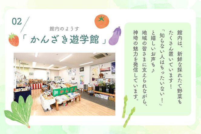 せふり柚子胡椒味くらべ＋半生うどんセット【麺 せふり 柚子胡椒 味比べ セット うどん 半生】(H059123)