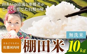 【先行予約】清流と寒暖差が生む村自慢の棚田米 無洗米 10kg《2026年11月以降順次出荷》 米---sanagouchi_lcl_134_10kg---