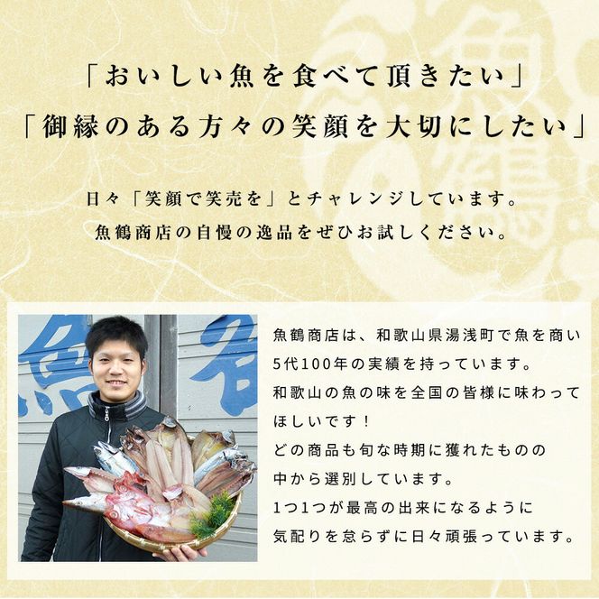 G60-T70_【定期便 全3回】魚鶴商店が選ぶ人気お魚E(銀鮭切身・サバフィレ・紅鮭切身)