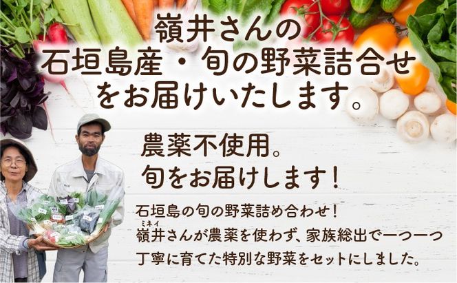 嶺井さんの石垣島旬の野菜詰合せ（大セット）OI-23