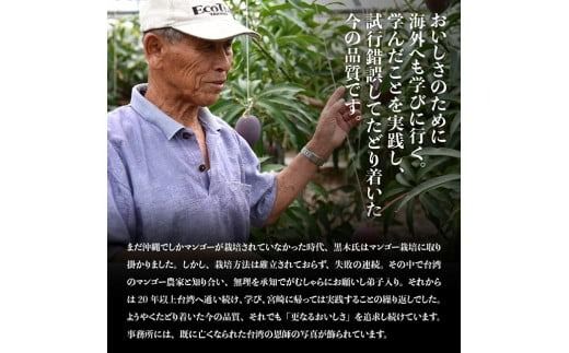 【令和8年発送】宮崎マンゴー 太陽の子８玉（2.8kg以上） 【 果物 フルーツ マンゴー 宮崎県産 みやざきマンゴー 】 [C06704]
