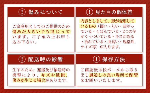 【訳あり】生芋10kg　SSサイズ～2Lサイズ（サイズバラ）　※離島への配送不可