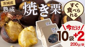 【 期間限定 +2袋 】 【 吉原農場 の 完熟栗 】 熟成 焼き栗 10袋 ⇒ 12袋 ( 2kg ⇒ 2.4kg ) 令和7年産 完熟 栗 くり クリ 栗ごはん 贈答 ギフト 果物 フルーツ 数量限定 旬 秋 冬 正月 おせち [CX017ci]