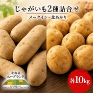 【先行予約】じゃがいも2種詰合せ（メークイン10kg・北あかり10kg）【十勝幕別 北海道ホープランド農場】 野菜 セット 