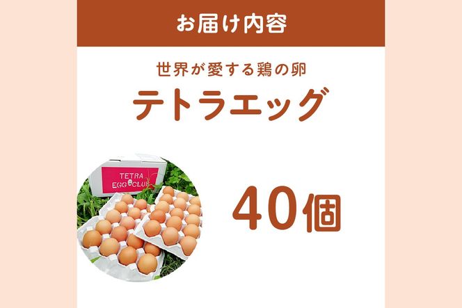 【A5-459】テトラエッグ40個入