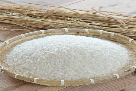 有機JAS認証米「おおきに大地米」5kg　DE00148