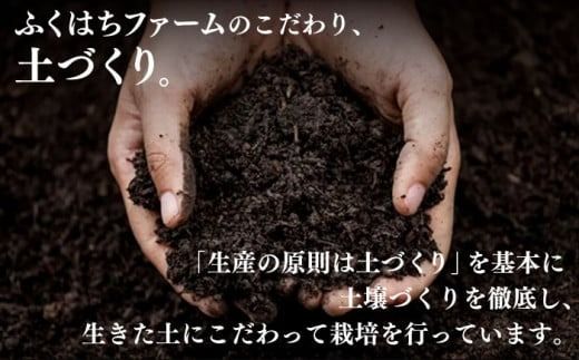 【2025年5月下旬〜順次発送】特別栽培ハウス桃 約1kg（3～6玉）化粧箱 / 桃 もも モモ ピーチ 1kg デザート 旬 フルーツ 柔らかい 果物 / 南島原市 / ふくはちファーム [SBS005]