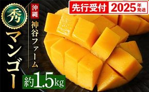 【化粧箱入】【先行受付・2025年発送】神谷ファームのマンゴー（秀）約1.5Kg