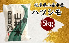 山県市産 ハツシモ 5kg（5kg×1袋）（白米） [No.797]