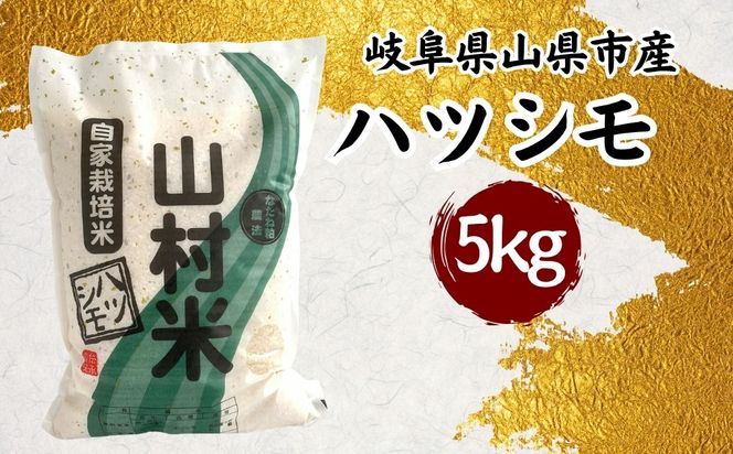 山県市産 ハツシモ 5kg（5kg×1袋）（白米） [No.797]