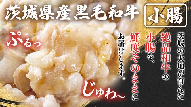 【茨城県産】 黒毛和牛 味付き 小腸 1.2kg （ 200g ×6パック ） (茨城県共通返礼品) 国産 牛肉 肉 お肉 ホルモン もつ 和牛 小腸 ホルモン 味付き 味付ホルモン タレ漬け 焼肉 BBQ 小分け 冷凍 料理 簡単