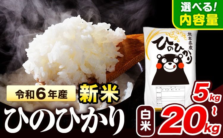 令和6年産 新米 早期先行予約受付中 ひのひかり 白米 5kg 10kg 12kg 15kg 18kg 20kg [11月‐12月より出荷予定] 熊本県産 白米 精米 氷川町 ひの 送料無料 ヒノヒカリ コメ 便利 ブランド米 お米 おこめ 熊本 SDGs---hkw_hn6_af11_24_10500_5kg_h---