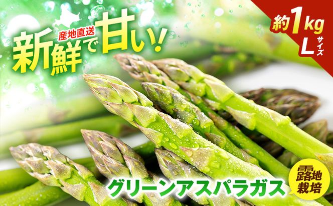 【2026年5月発送】北海道 富良野産 露地 グリーン アスパラ Lサイズ約1kg 野菜 アスパラガス