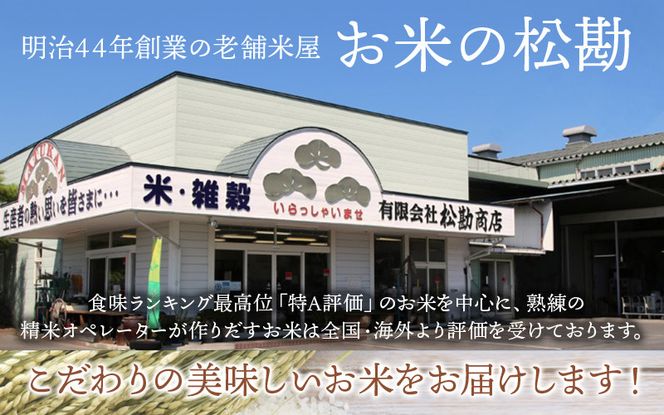白米 5kg ひとめぼれ 単発or定期便 平泉町産  令和7年産 白米  直前精米 /  お米 ご飯 【食味ランキング「特A」13年連続】【五ツ星 お米マイスター厳選 】【mtk701-cp】