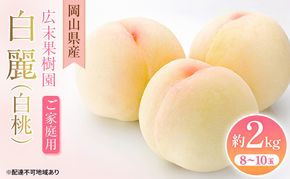 【2026年先行予約】 桃 岡山県産 ご家庭用 白麗 ( 白桃 ) 約2kg(8～10玉)《2026年7月下旬-8月中旬頃出荷》 スイーツ フルーツ 果物 先行予約 数量限定 期間限定 岡山 里庄町 モモ