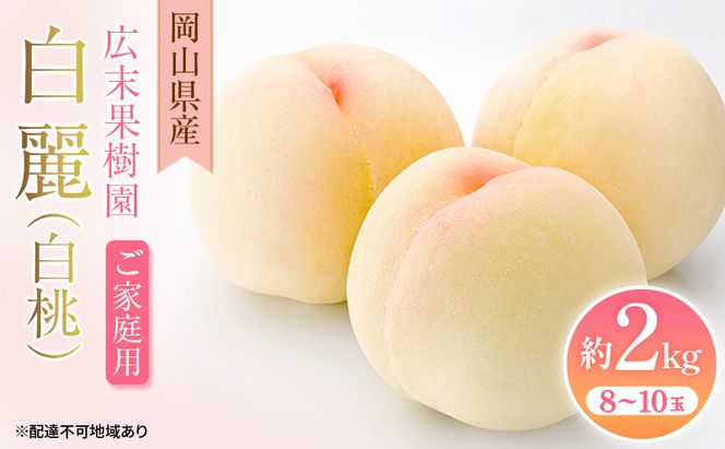 【2026年先行予約】 桃 岡山県産 ご家庭用 白麗 ( 白桃 ) 約2kg(8～10玉)《2026年7月下旬-8月中旬頃出荷》 スイーツ フルーツ 果物 先行予約 数量限定 期間限定 岡山 里庄町 モモ