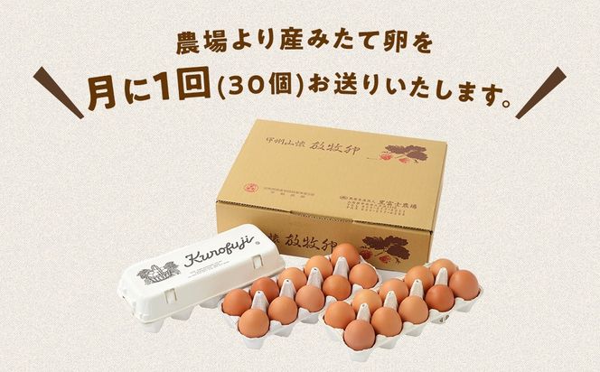 放牧卵30個×10ヶ月　　　人気　おすすめ　国産　贈答　ギフト　お取り寄せ　卵　たまご　タマゴ　玉子　鶏卵　自然卵　放牧卵　平飼い　新鮮　たまごかけご飯B-20