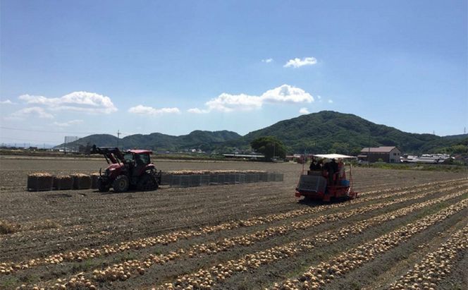 先行予約 玉ねぎ 約10kg（岡山県産） 晴れの国ファーム 野菜 万能 食材 