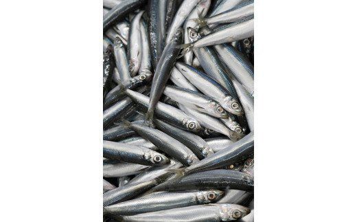 【訳あり】 名人が作る魚の丸干し＆開きセット 3kg 干物 国産 天然 ひもの 干物セット 訳アリ わけあり 魚 魚介 冷凍 新鮮 鮮魚 選抜 武久海産 丸干し 切り身 おつまみ おかず 人気 珍味 グルメ 規格外 国産 武久海産 愛媛 愛南	
