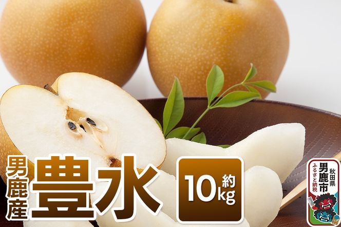 【令和8年度 早期受付】豊水 約10kg 9月中旬～10月上旬発送 梨 旬の果物 ギフト 秋田県 男鹿市 男鹿ファーム直売所|23_ofc-061001