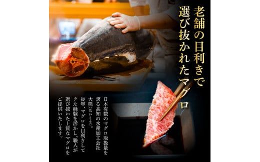 本マグロ 大トロ200g ネギトロ800g(200g×4) ねぎとろ マグロ まぐろ 大とろ 赤身 本鮪 本まぐろ 天然 刺身 刺し身 魚 海鮮 魚介 海鮮丼 ネギトロ丼 お寿司【株式会社大熊】 [BQAA042]