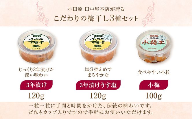 小田原老舗店が作った梅干しカップ3種類セット 142069_CW109