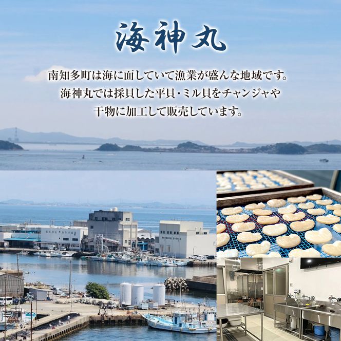 海神丸 貝 チャンジャ 食べ比べ セット 3種 平貝 貝ひも ・ 貝柱 ・ 白 ミル貝 各 100g パック 小分け 冷凍 海鮮 魚介 海の幸 塩辛 愛知県 南知多町 人気 おすすめ