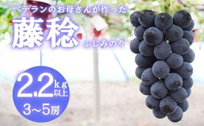 【2026年発送分 先行予約】【フルーツ王国山梨】藤稔（ふじみのり） ２．２ｋｇ以上（３～５房）　葡萄 ブドウ ぶどう 果物 くだもの 山梨 やまなし フルーツ 富士川町