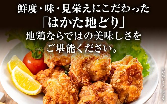 【ふるさと納税】はかた地どり 肩肉 1kg 福岡県産 地鶏 鶏肉 冷凍 国産 とり肩肉 ふりそで とり肉 希少部位 チキン 唐揚げ 照り焼き 塩焼き 串焼き 焼き鳥 おつまみ 家飲み おうちごはん お取り寄せ グルメ ギフト