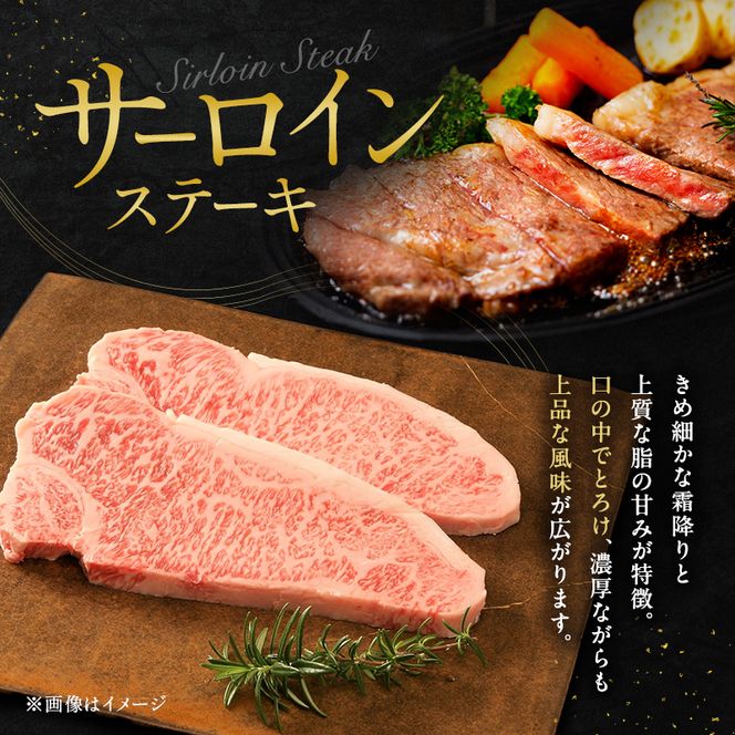 神戸牛 贅沢セットB 計700g ローススライス ももスライス サーロインステーキ