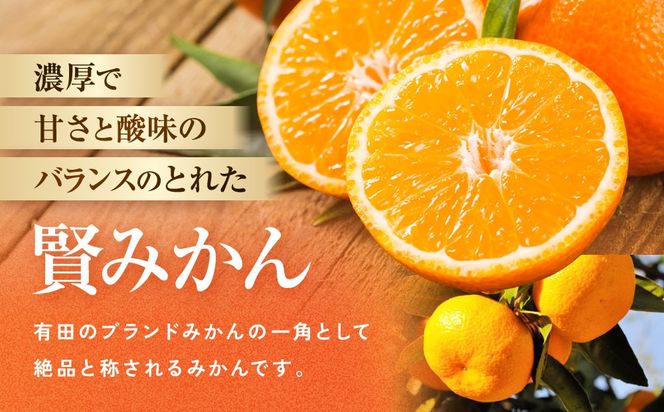[秀品]有田のブランド「賢みかん」10kg(Lサイズ)［2026年11月中旬頃より順次発送］ BZ013