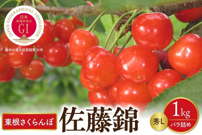 yR`szys\z2026NY GIڍ GL 1kgol(500g×2P) АV hi026-049