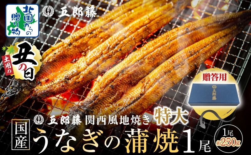 099H3443-1d [7/26土用の丑の日]五郎藤 関西風地焼き 国産有頭旨鰻 250g×1尾 計約250g [贈答用 特大 うなぎ ウナギ 蒲焼き 炭火]